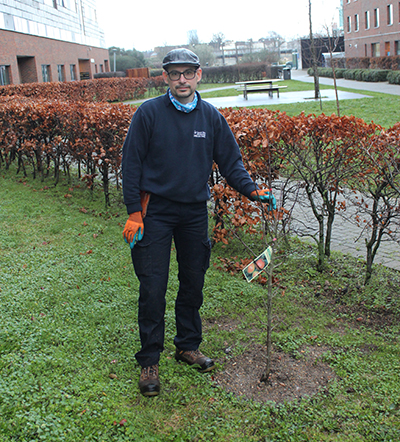 Dimi with tree