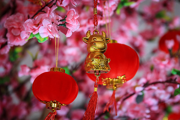 Year of Ox decoration